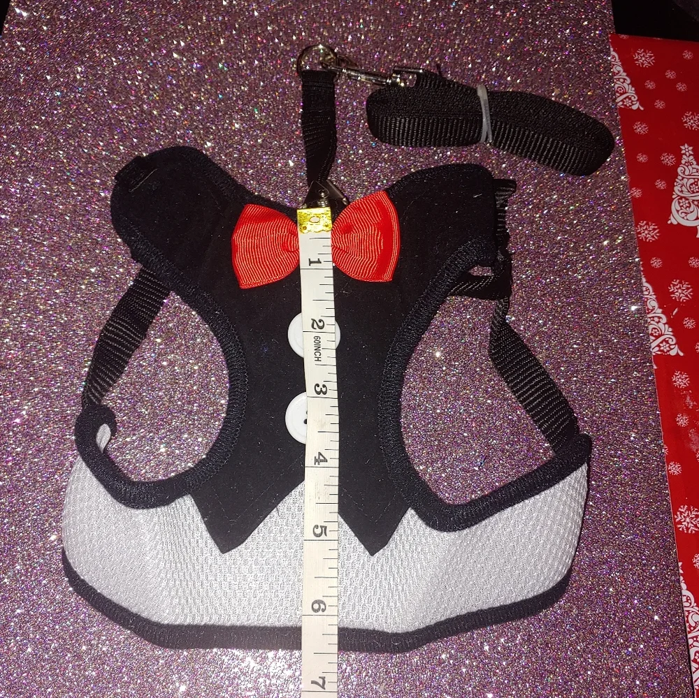 Cat or Dog Set Harness & Leash Breathable Vest with Buttons & Bowtie